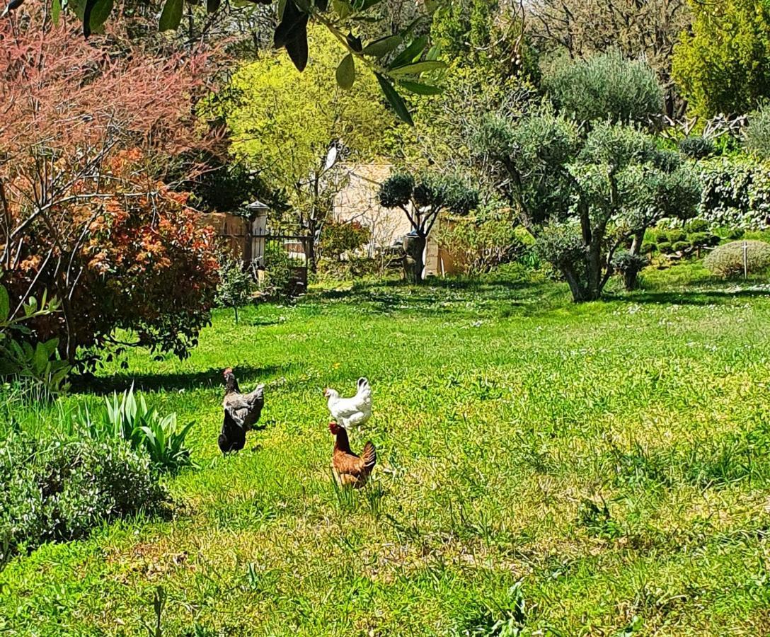Monteze Paradis Saint-Christol-lès-Alès 외부 사진